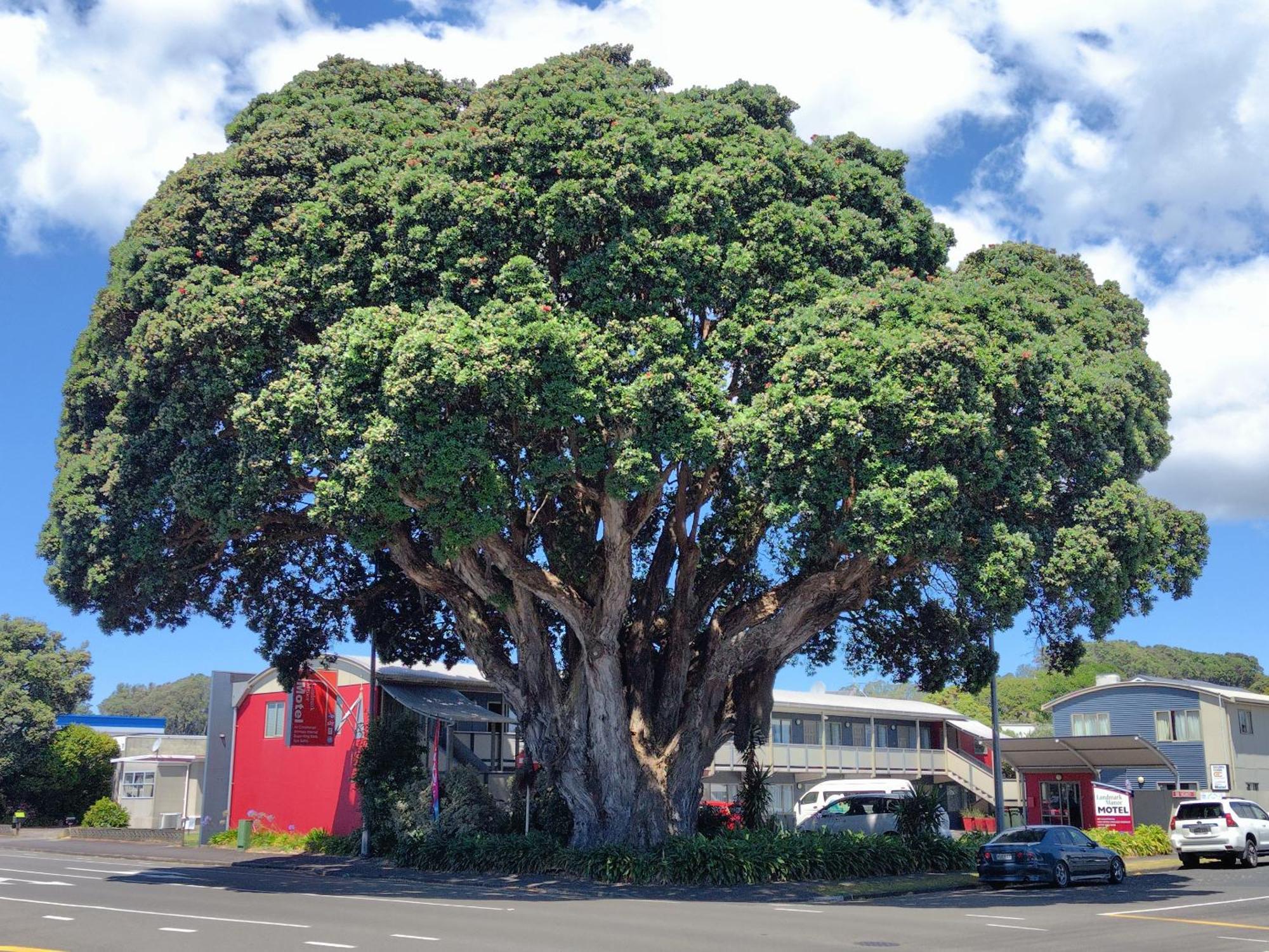 Landmark Manor New Plymouth Buitenkant foto